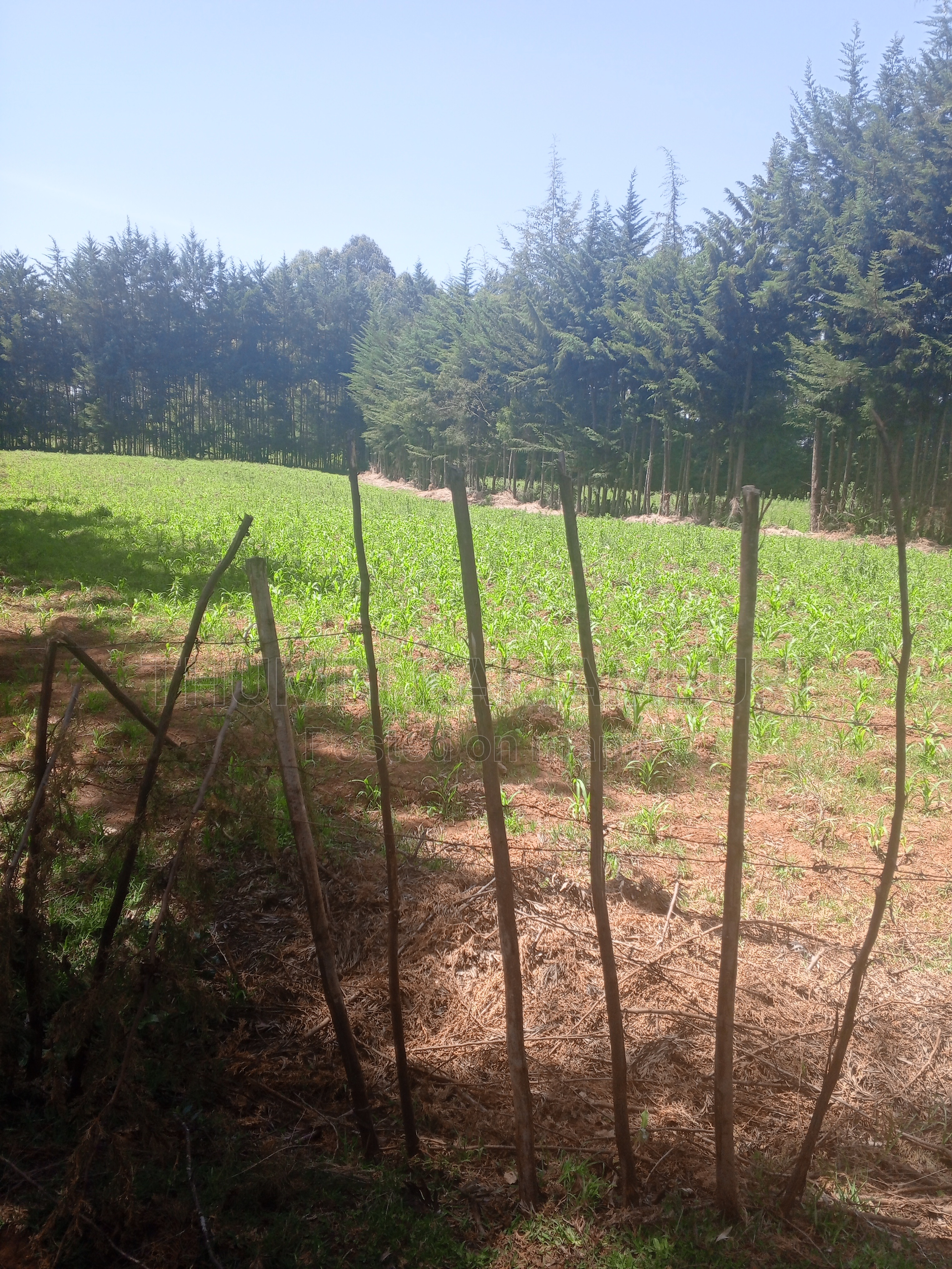 Strategic Plot for Sale – Nyahururu