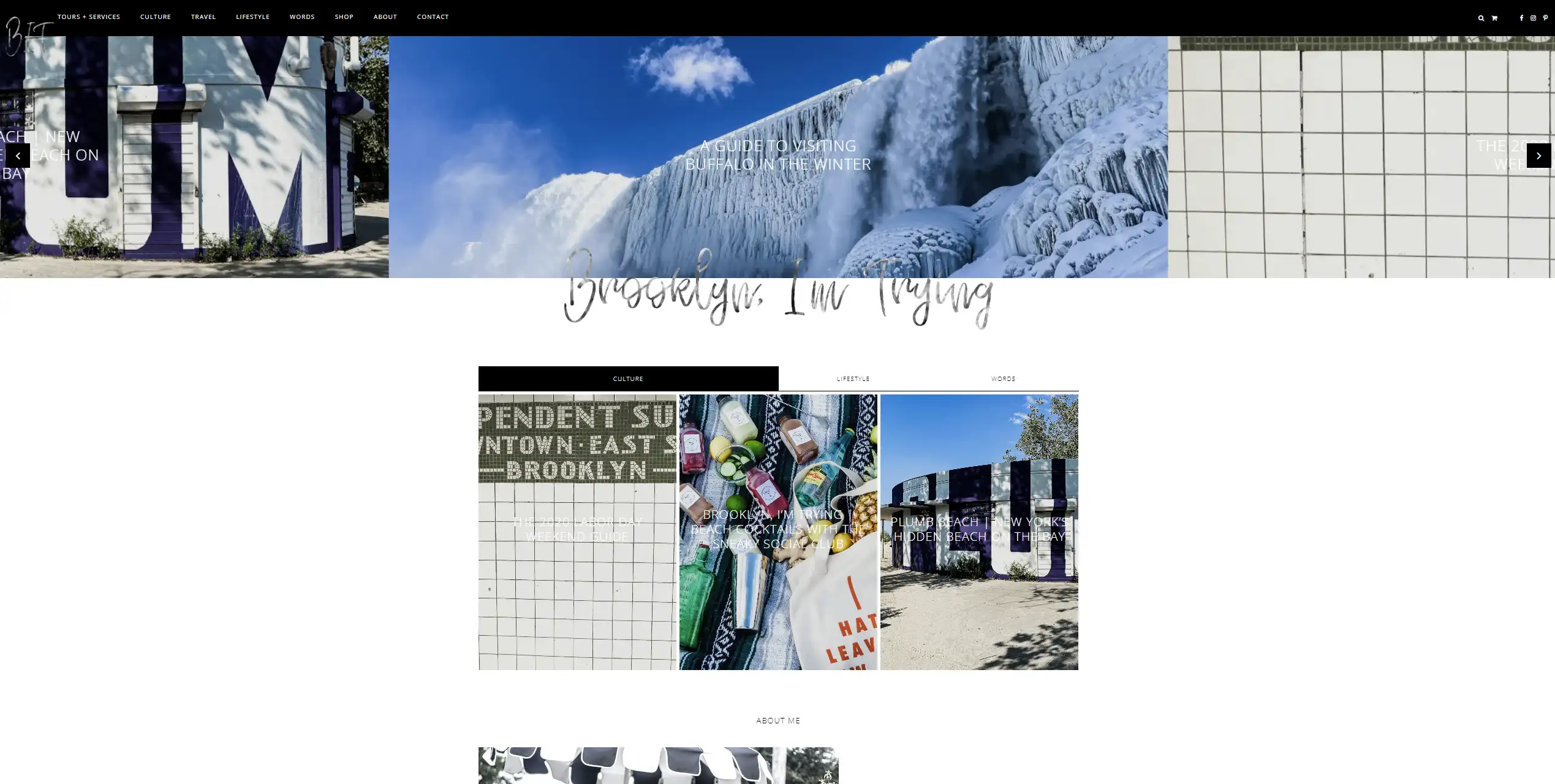 Preview of brooklynimtrying.com