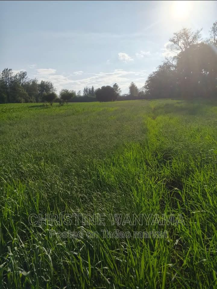 Land for sale in mwea 2