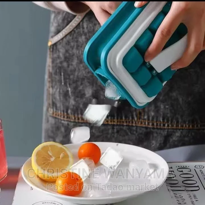 Portable leakable ice cube mold 2