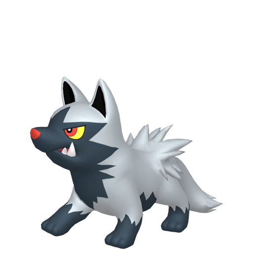 Poochyena - Dark type Pokemon