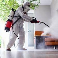 Zaha cleaning and fumigation services 2