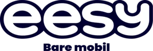 eesy logo