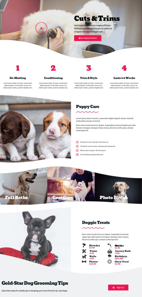 Dog Grooming Single Service