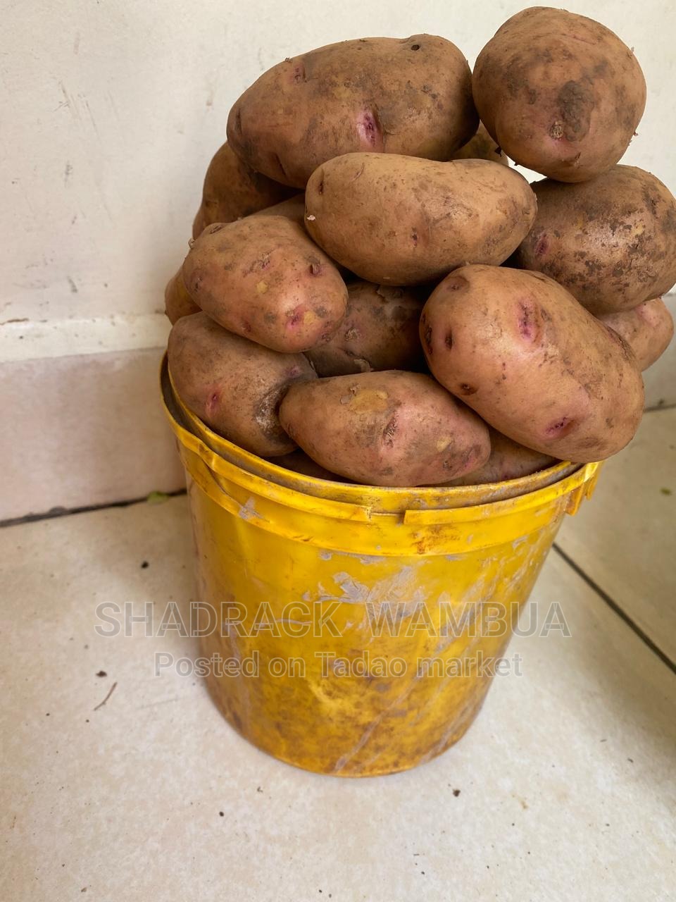 Potatoes 3