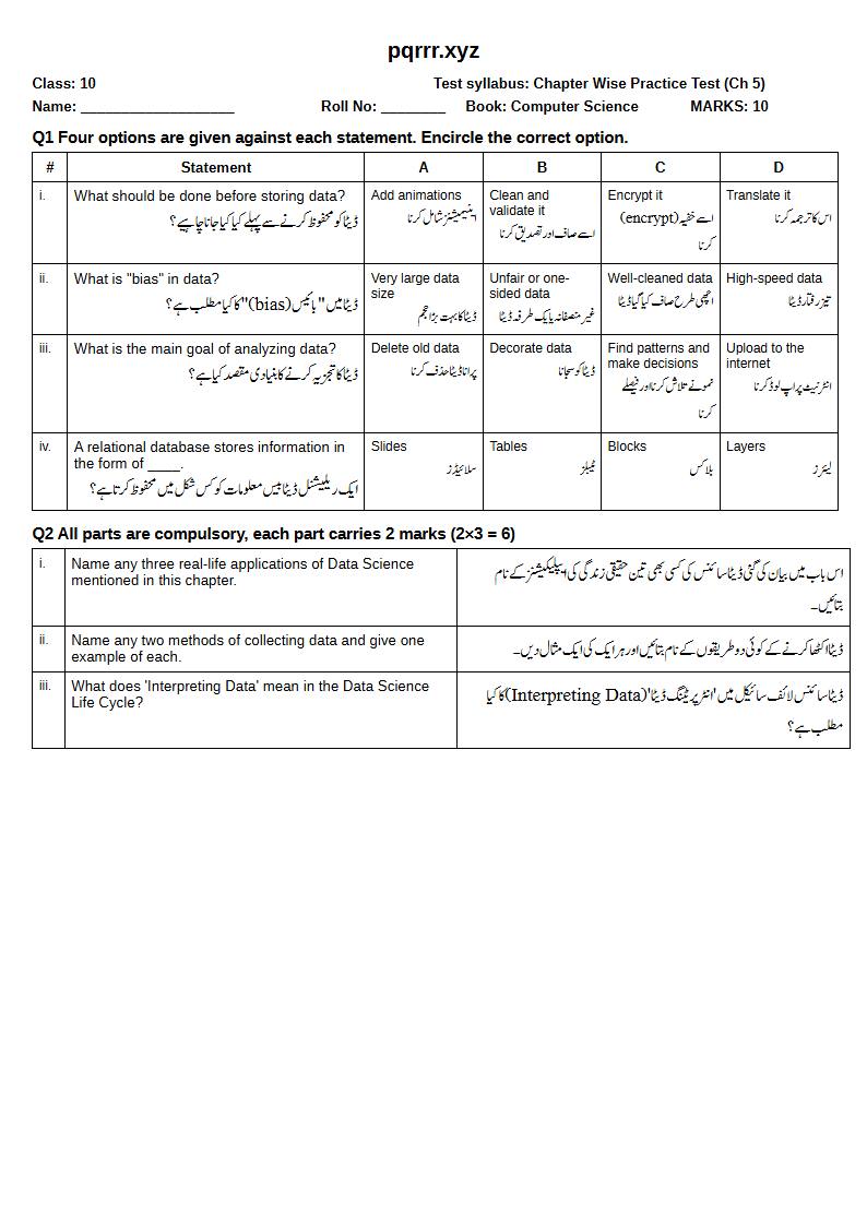 First page of 10th Computer Science – Chapter 5 – Introduction to Data Science – Chapter Wise Practice Test, 10 marks (English + Urdu)