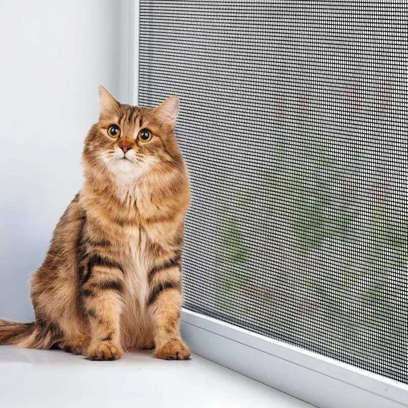 Pet-resistant insect screen thumbnail 2