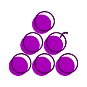 VibeBerry logo