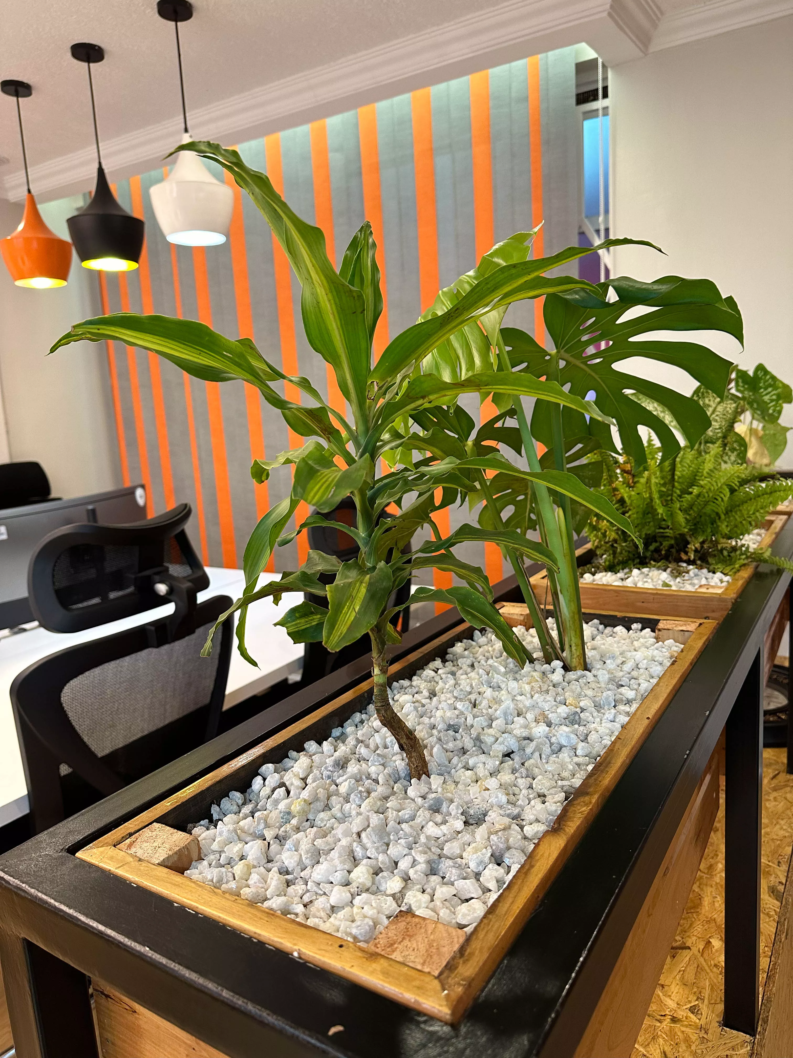 One Qareh Office Gallery Image 13