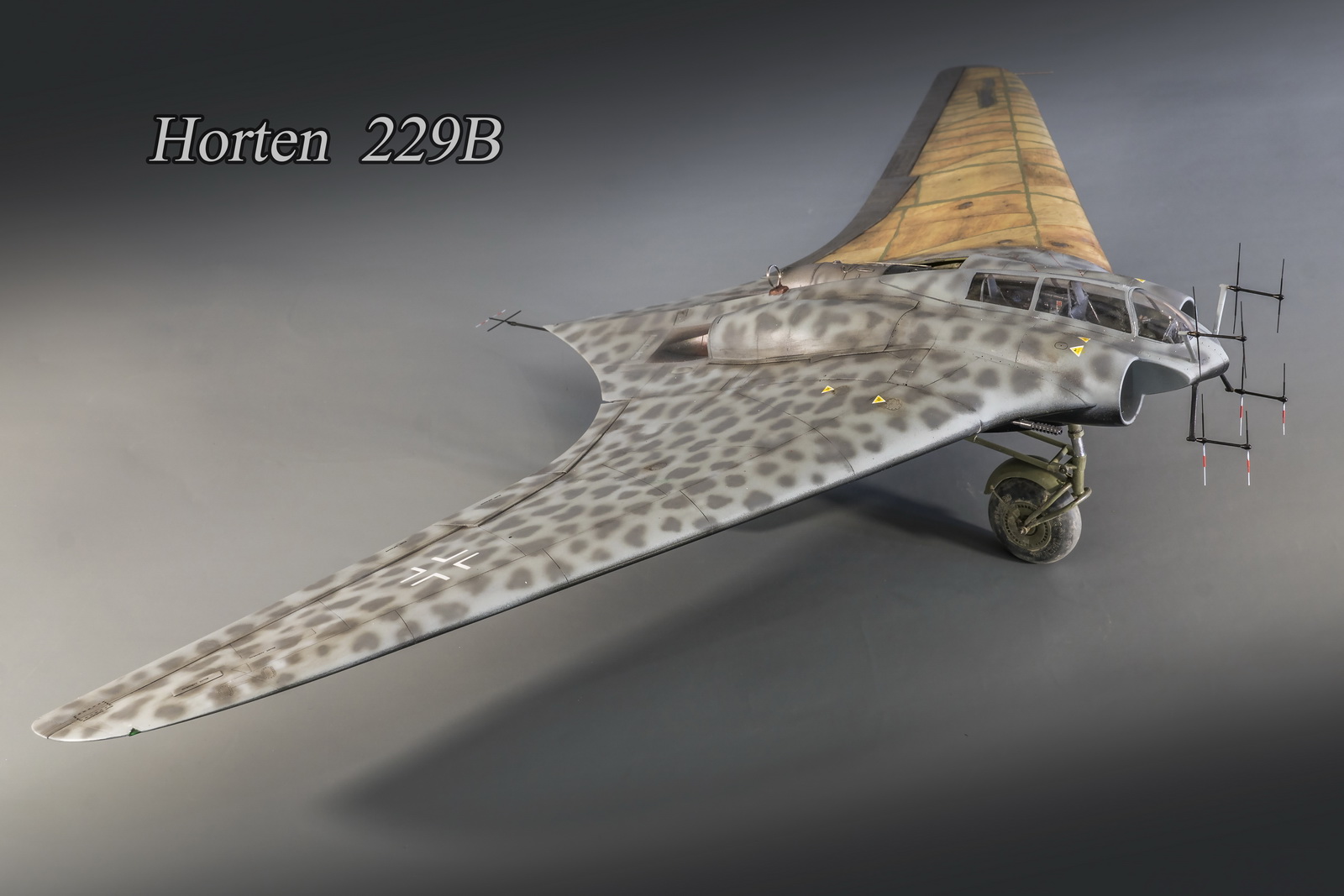 Хортен HO-229 B