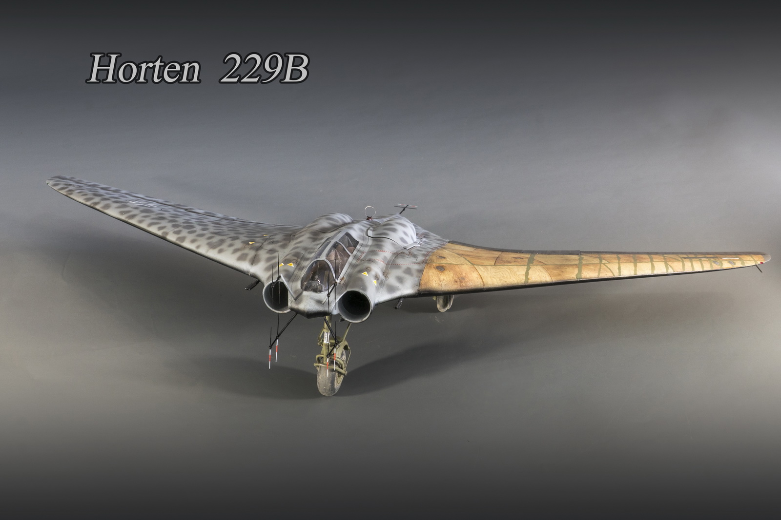 Хортен HO-229 B