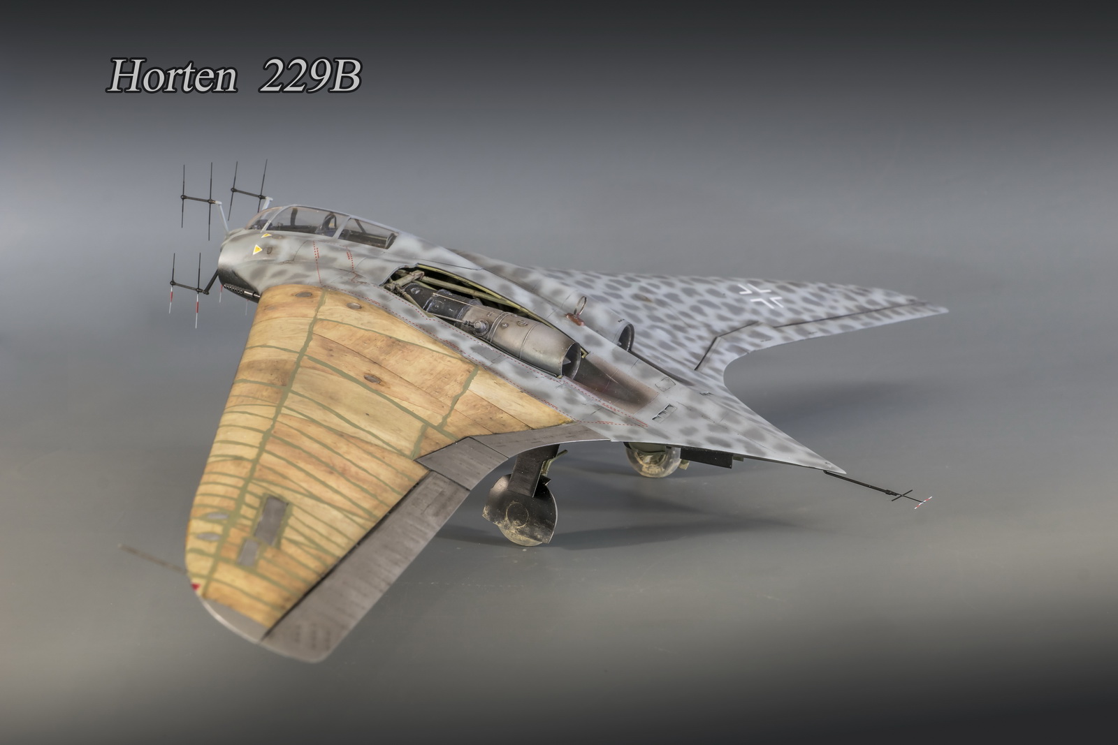 Хортен HO-229 B
