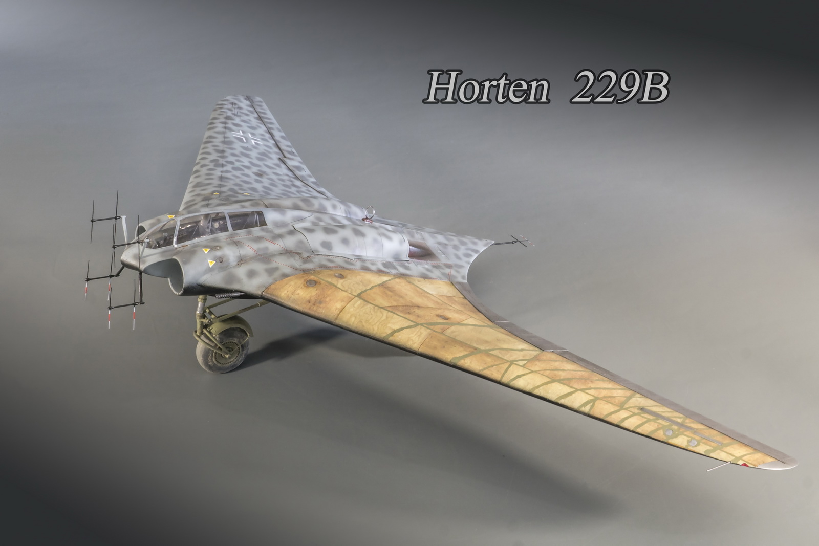 Хортен HO-229 B