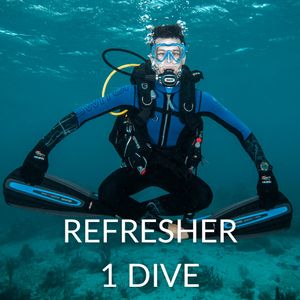 Refresher 1 Dive - U$115 / EC$315