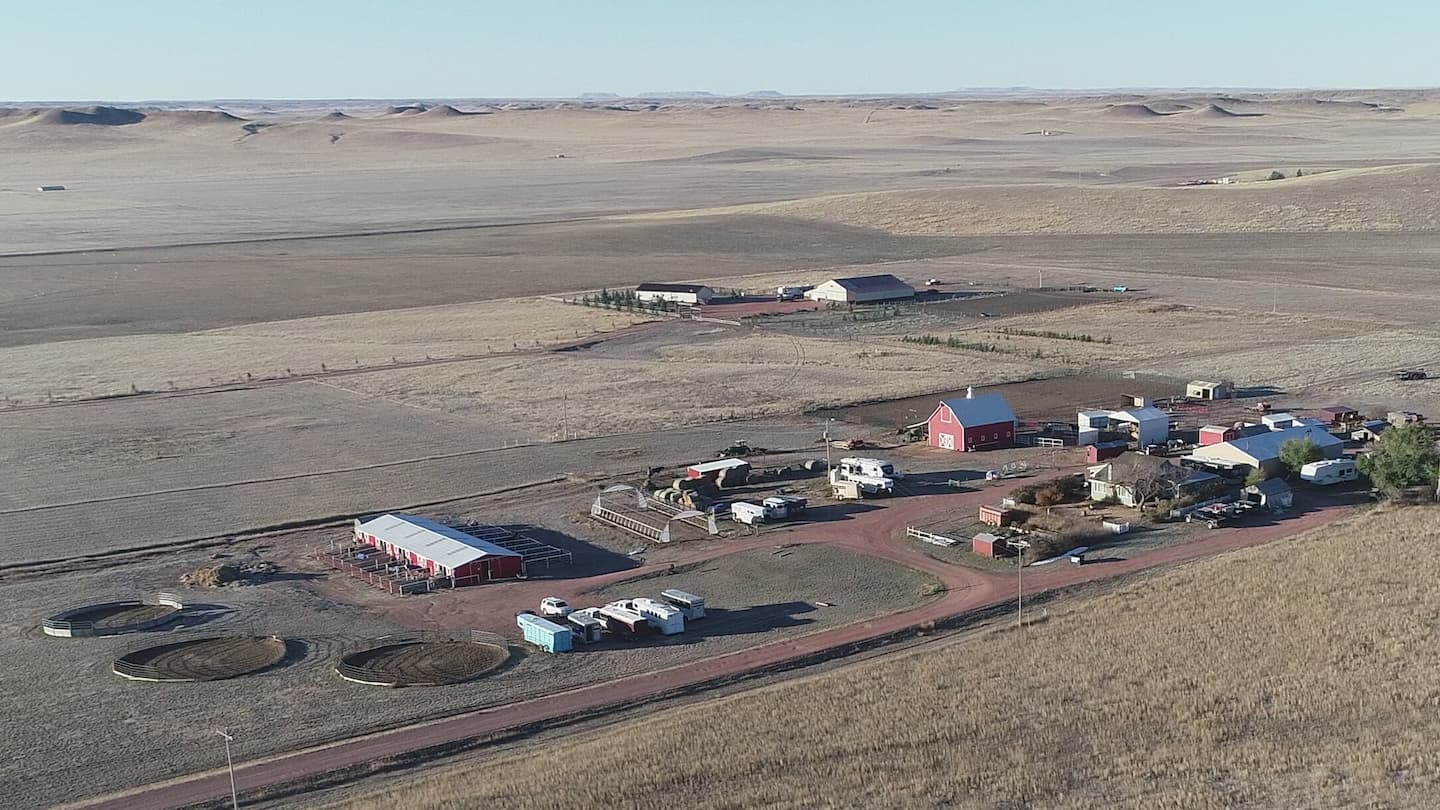 Broken Heart Stables: Image 4