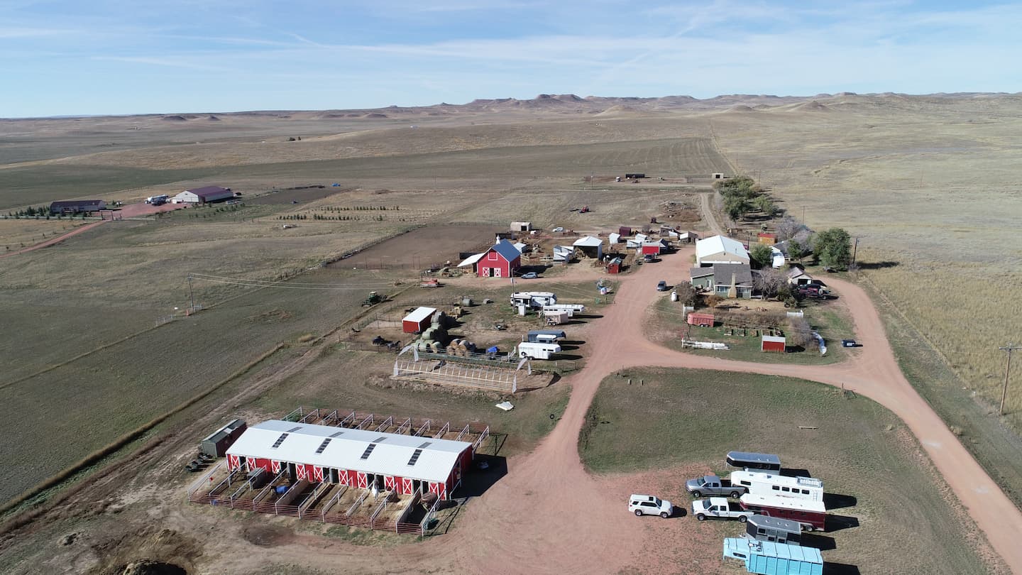 Broken Heart Stables: Image 7