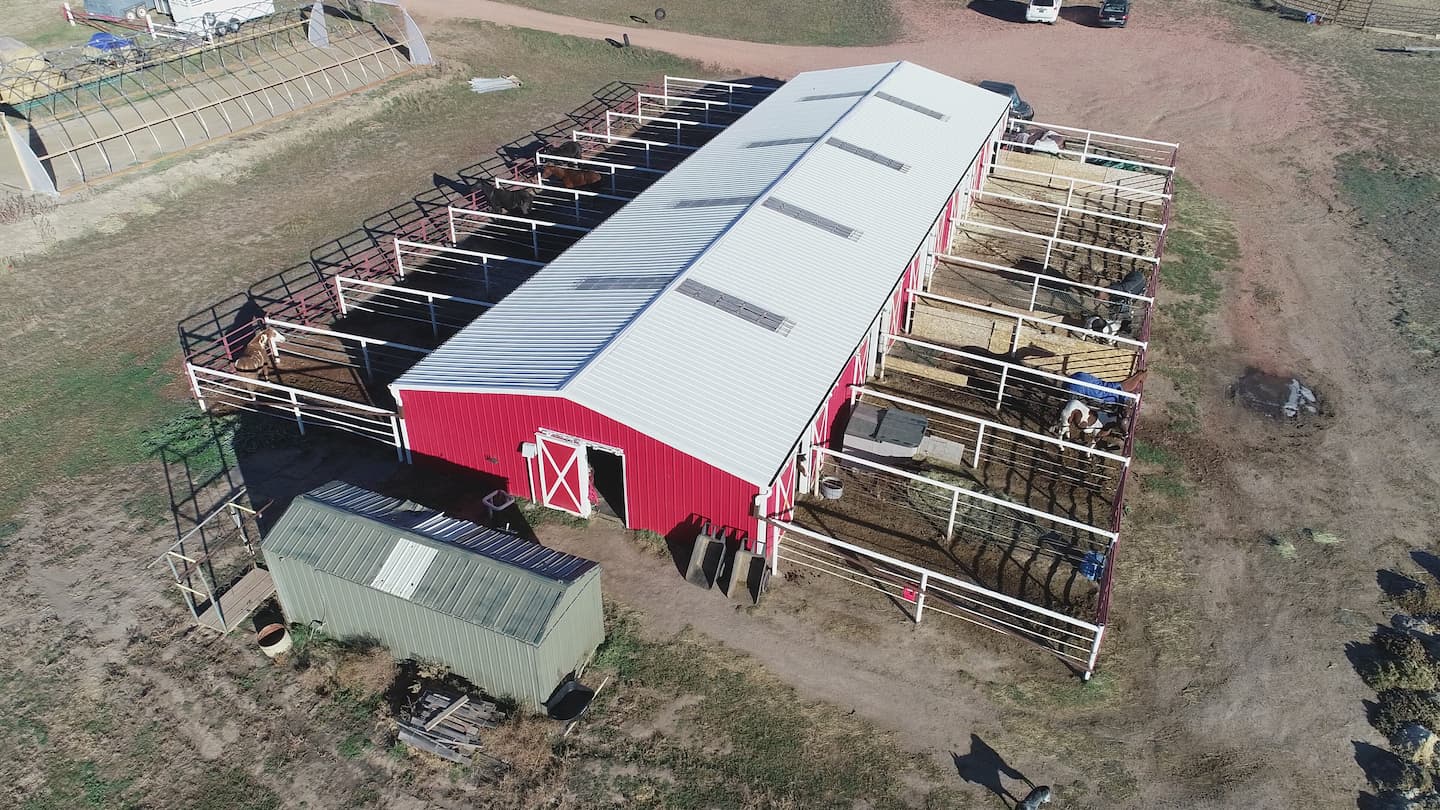 Broken Heart Stables: Image 5