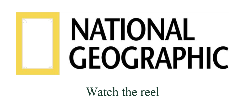 National Geographic Indonesia — Project reel logo