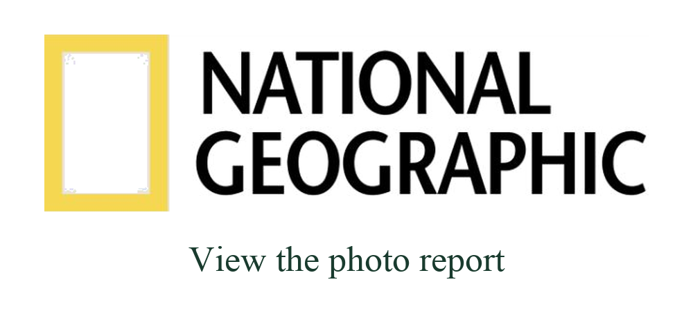 National Geographic Indonesia — Photo report logo