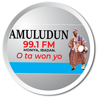 Amuludun 99.1 FM (FRCN) image