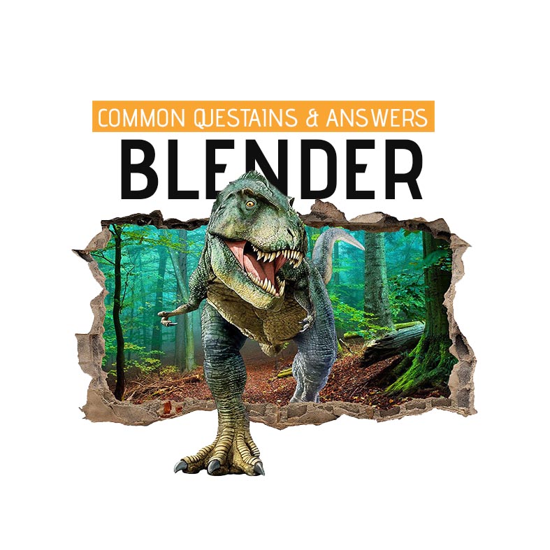 Top 5 Blender Questions & Answers