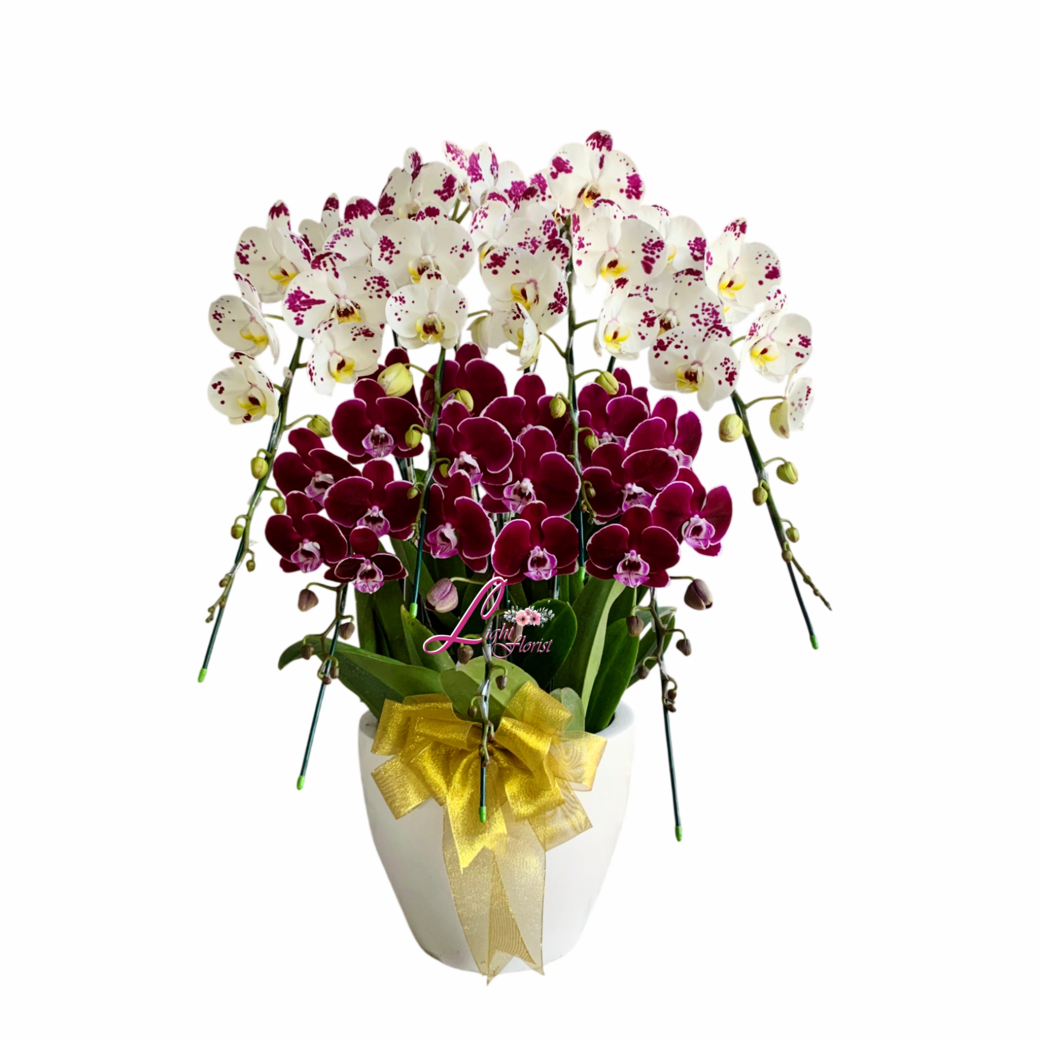 Flowers Anggrek 7 Tangkai Jakarta LFJKT-072