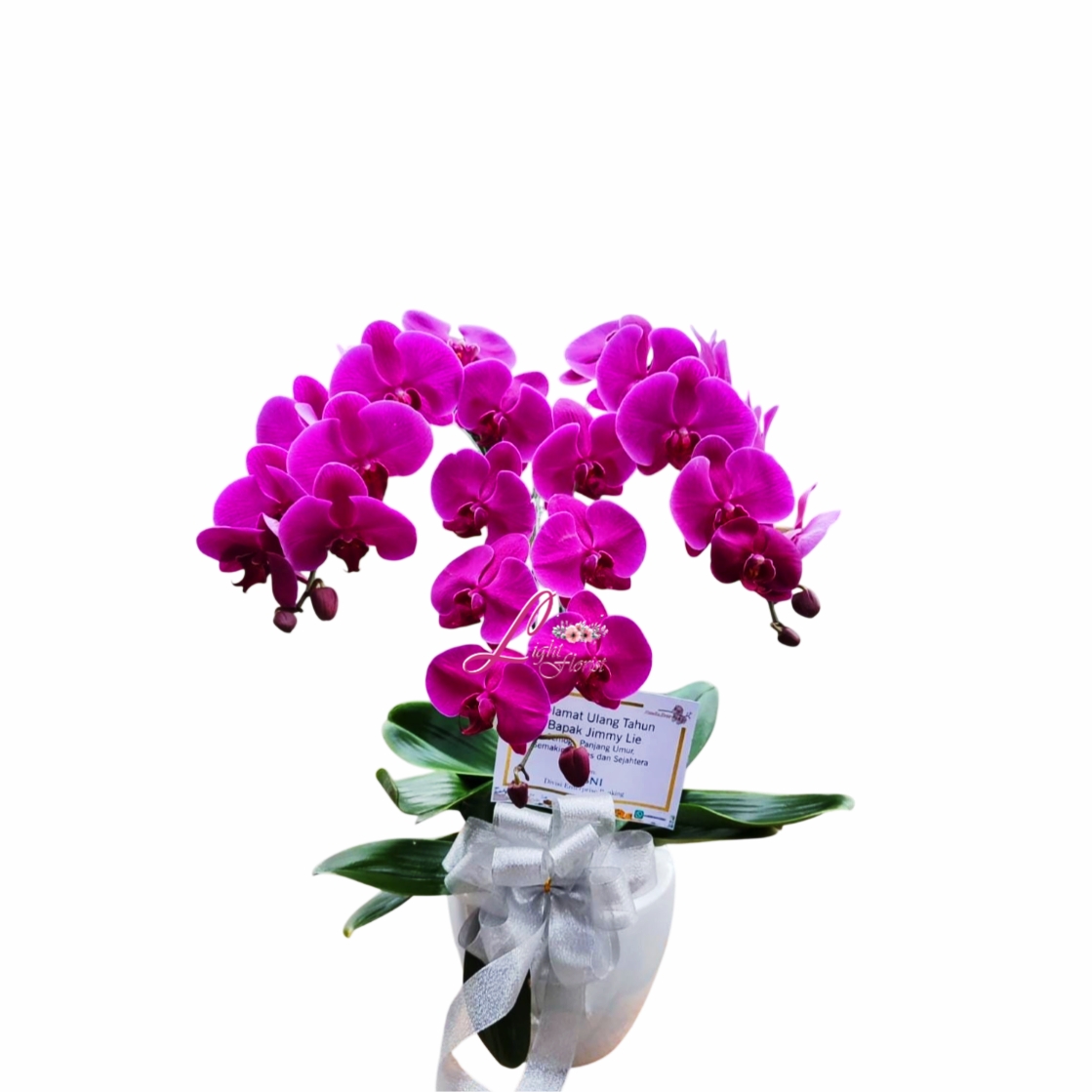 Flowers Anggrek 2 Tangkai Jakarta LFJKT-070