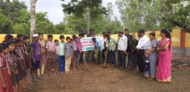 Environment Day 