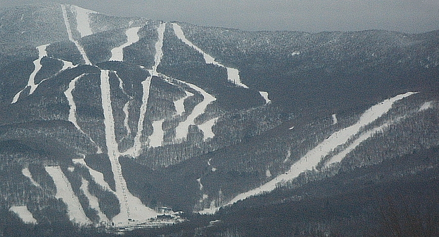 Sugarbush