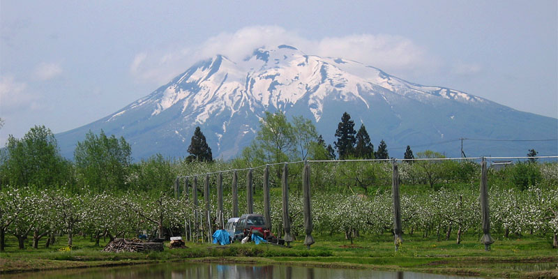 Iwakiyama Skyline (岩木山スカイラインスキー場)