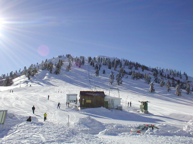 Εθνικό χιονοδρομικό κέντρο Βασιλίτσας