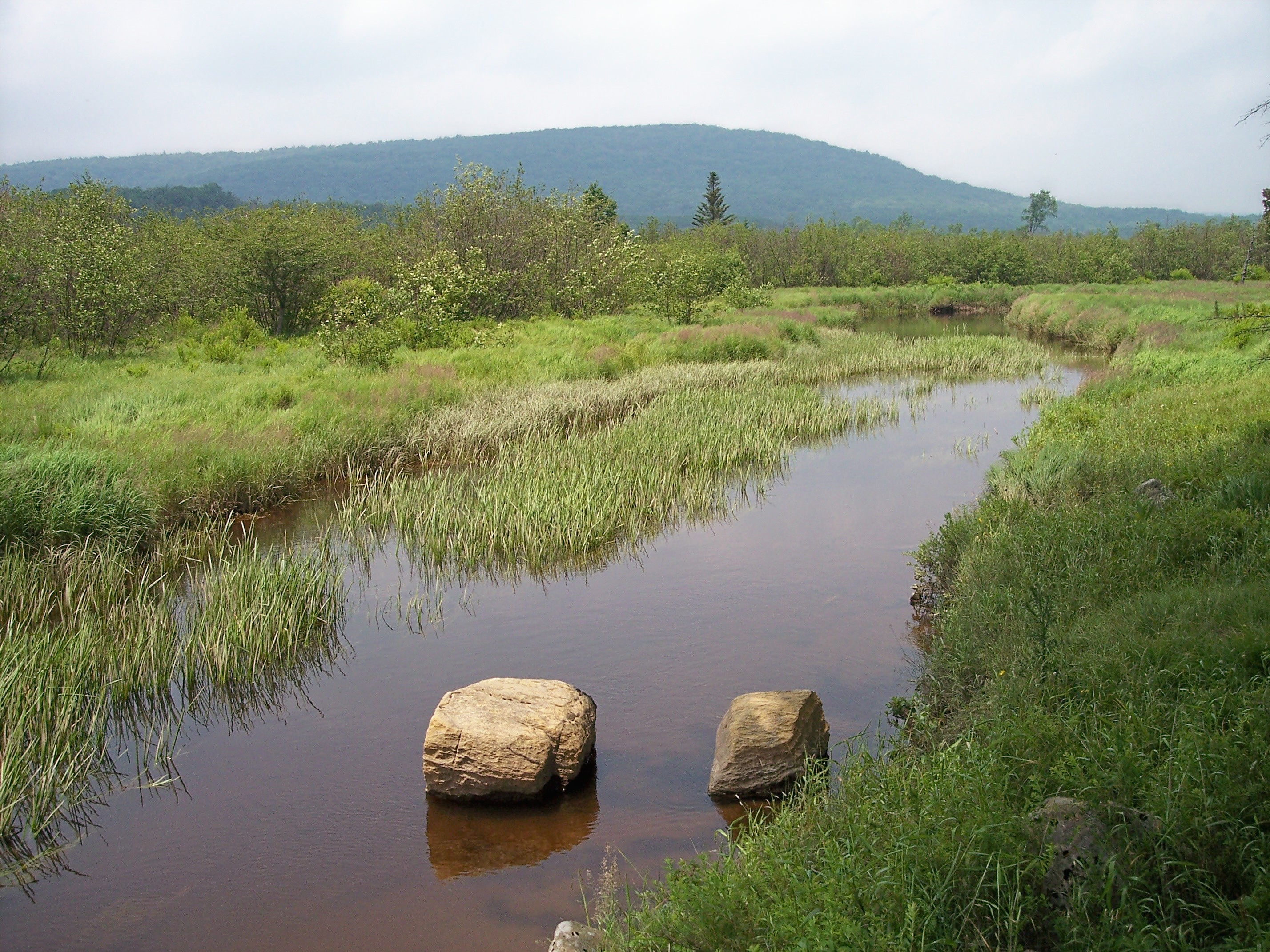 Canaan Valley