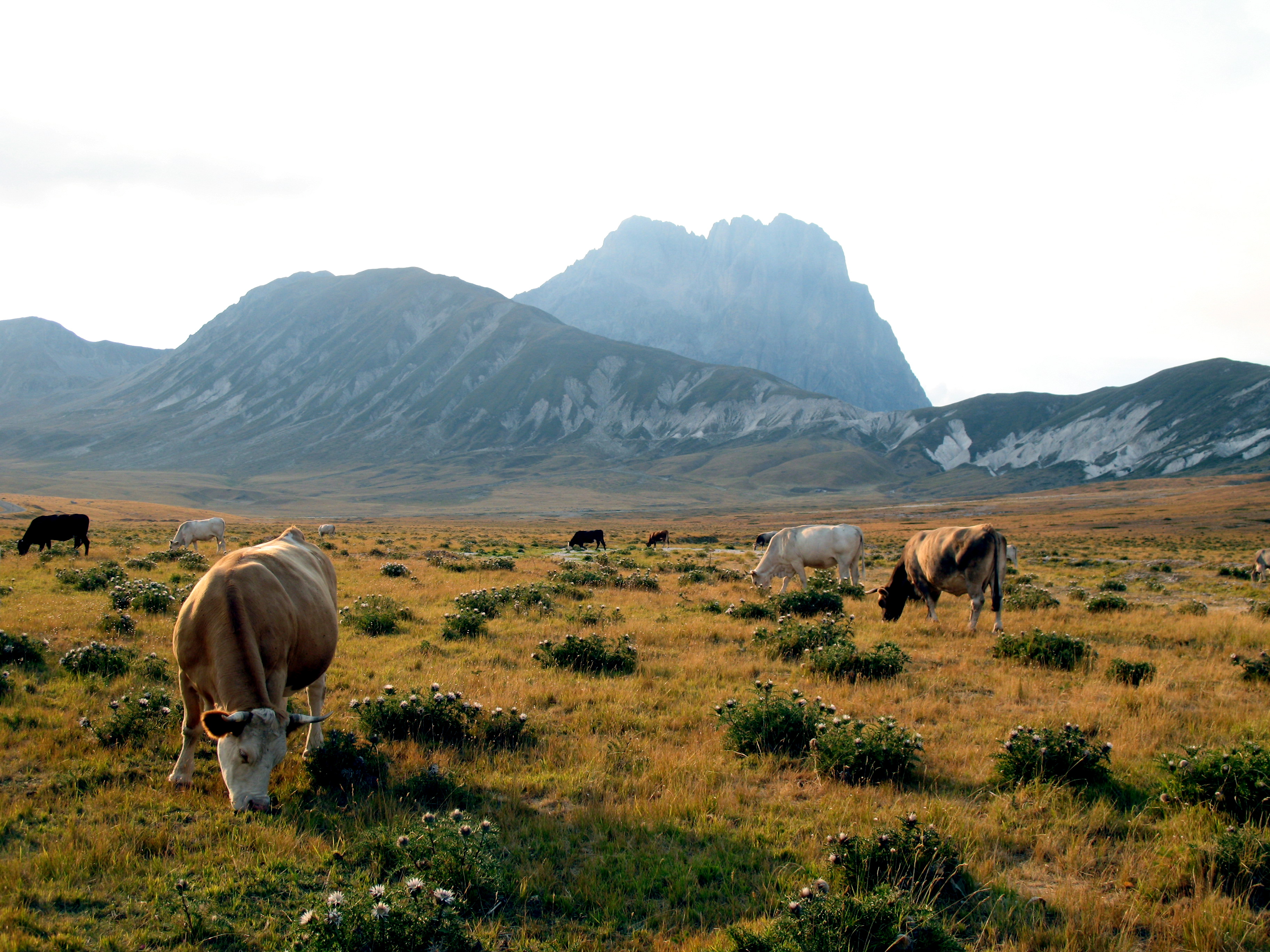 Campo Imperatore