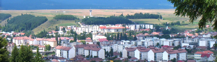 Toplița
