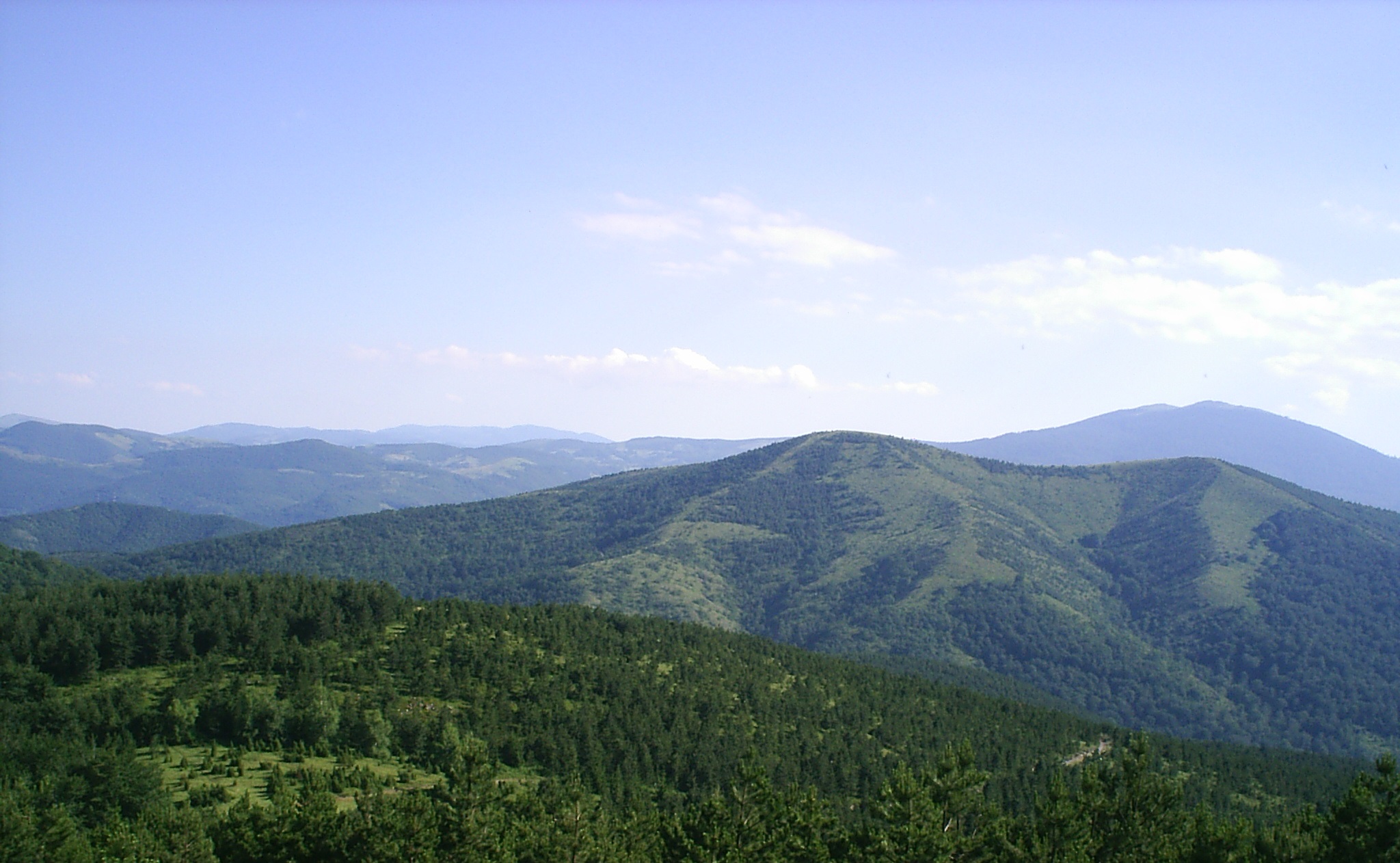 Goč