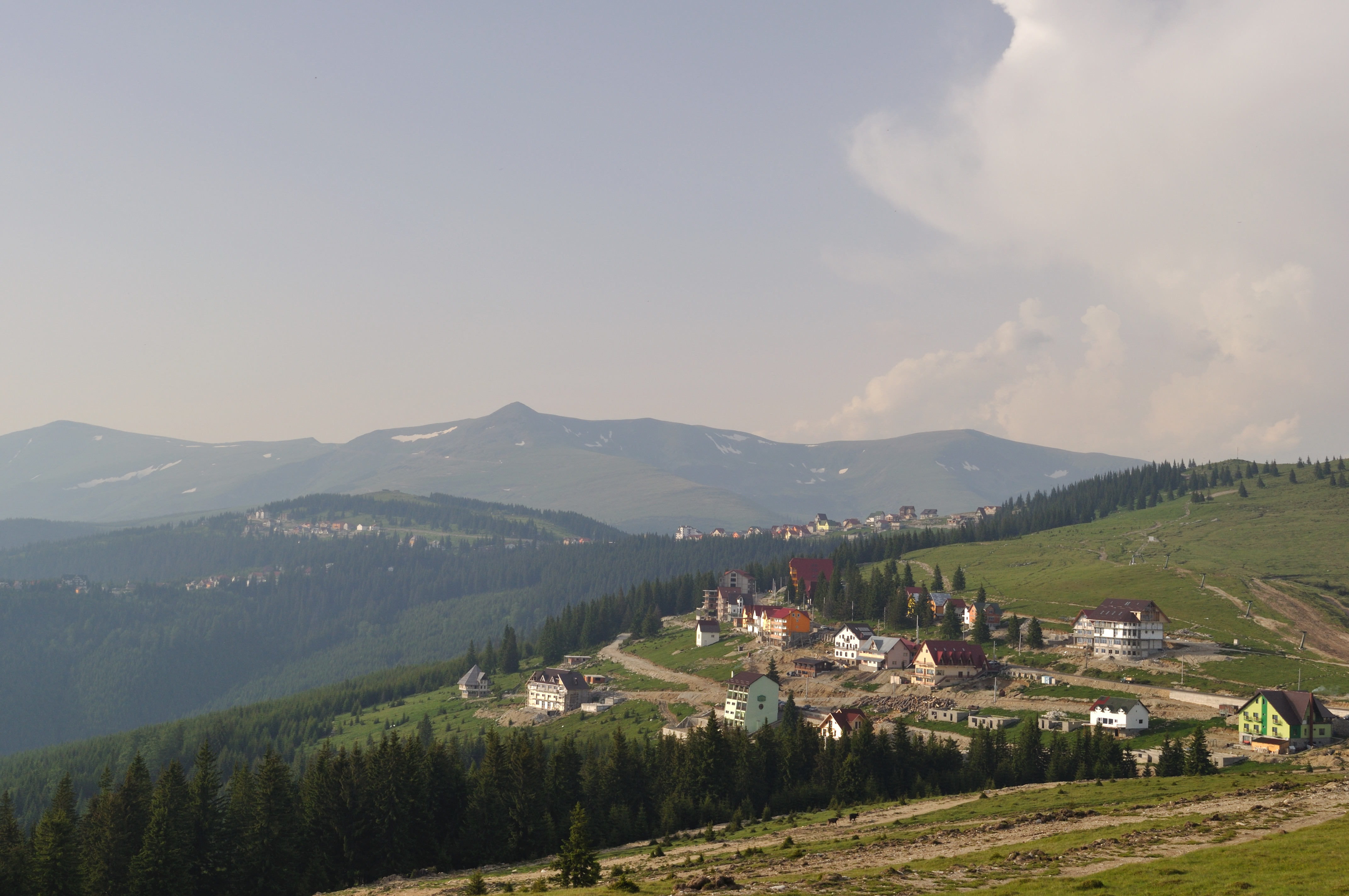 Rânca