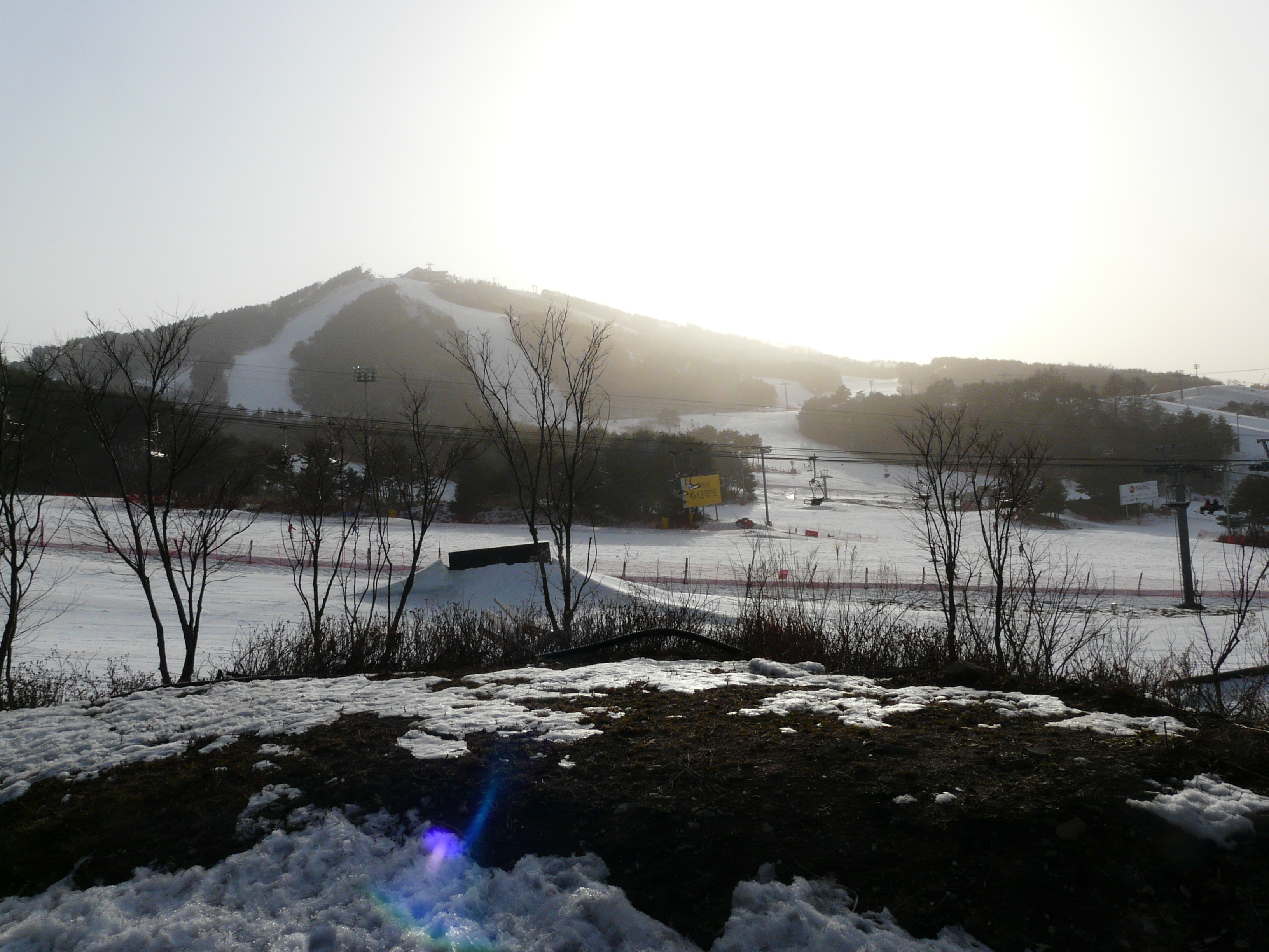 Welli Hilli Park