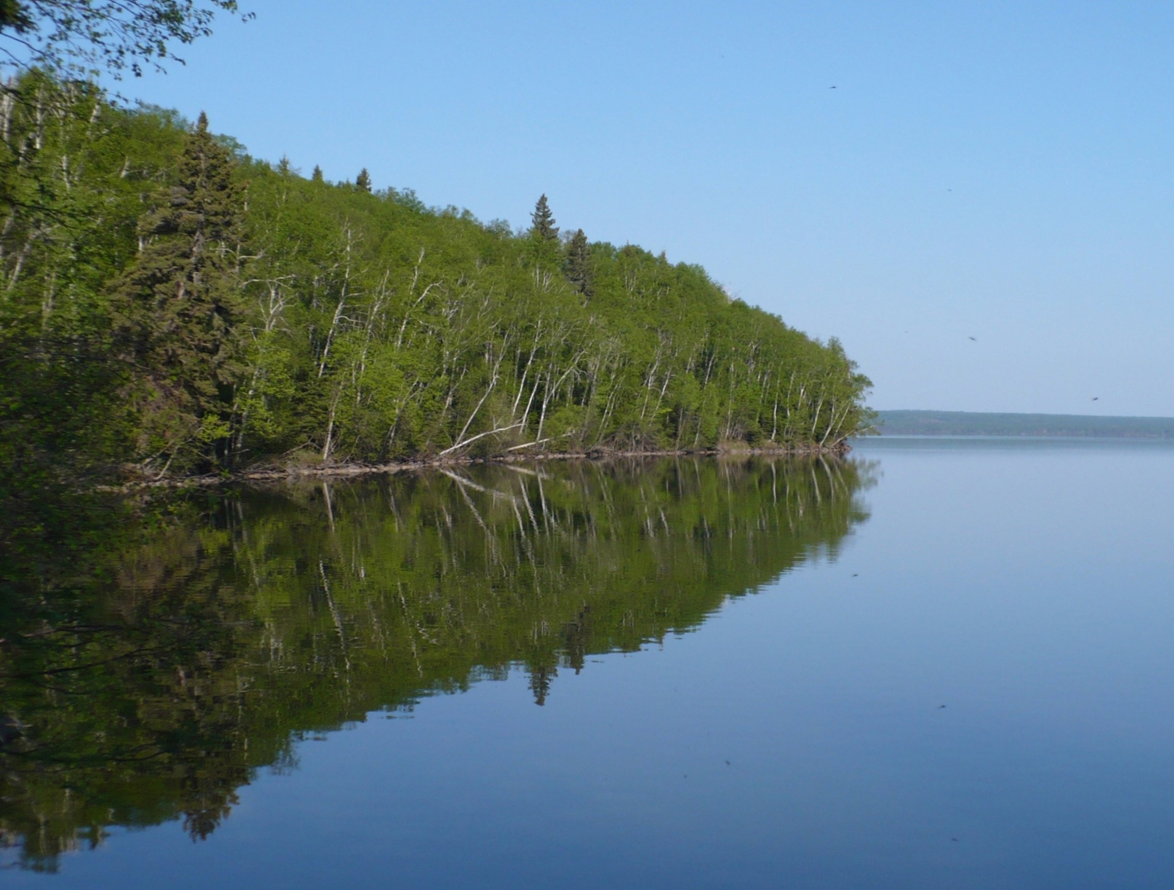 Prince Albert National Park Cross Country