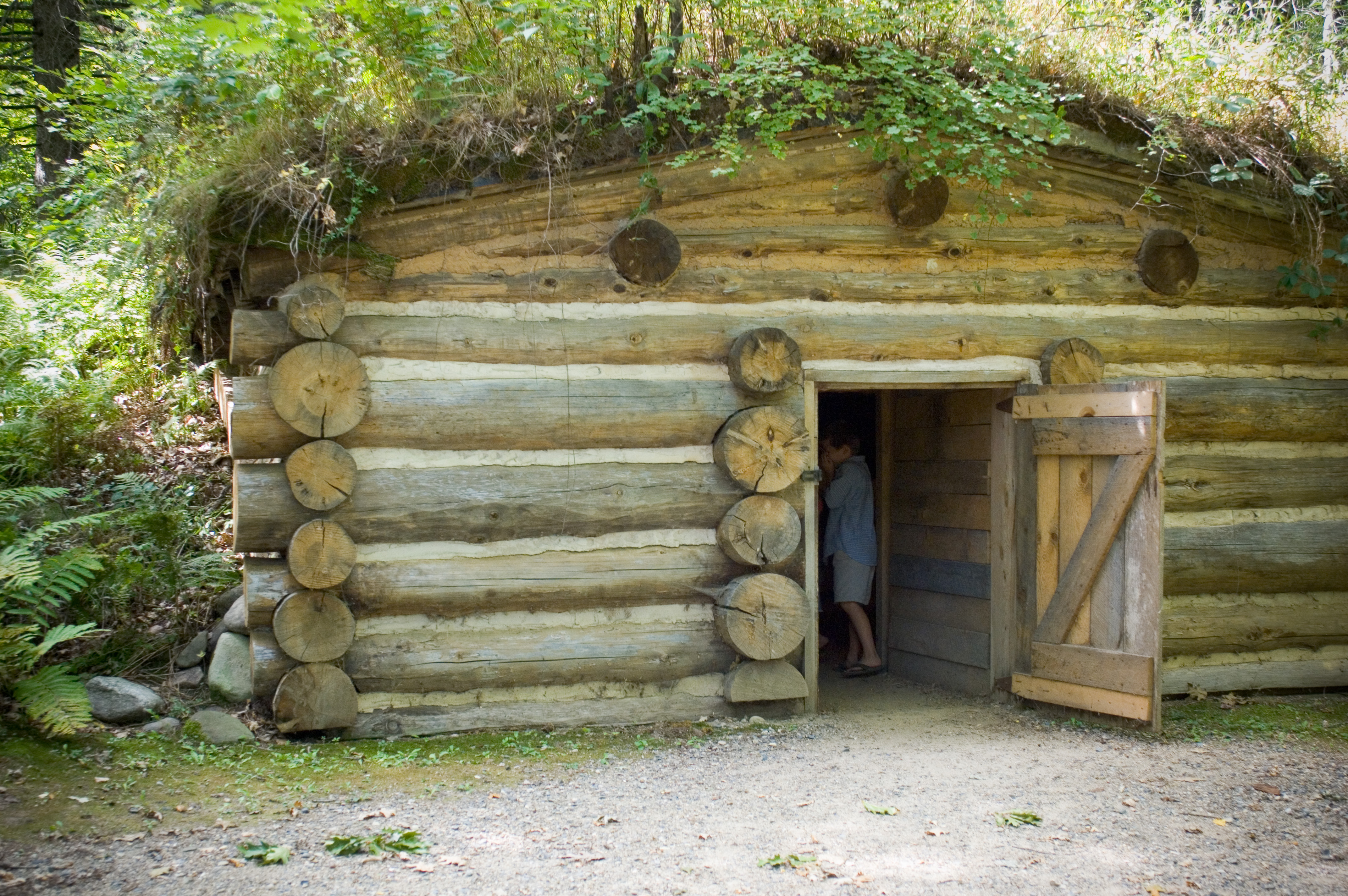 Forest History Center