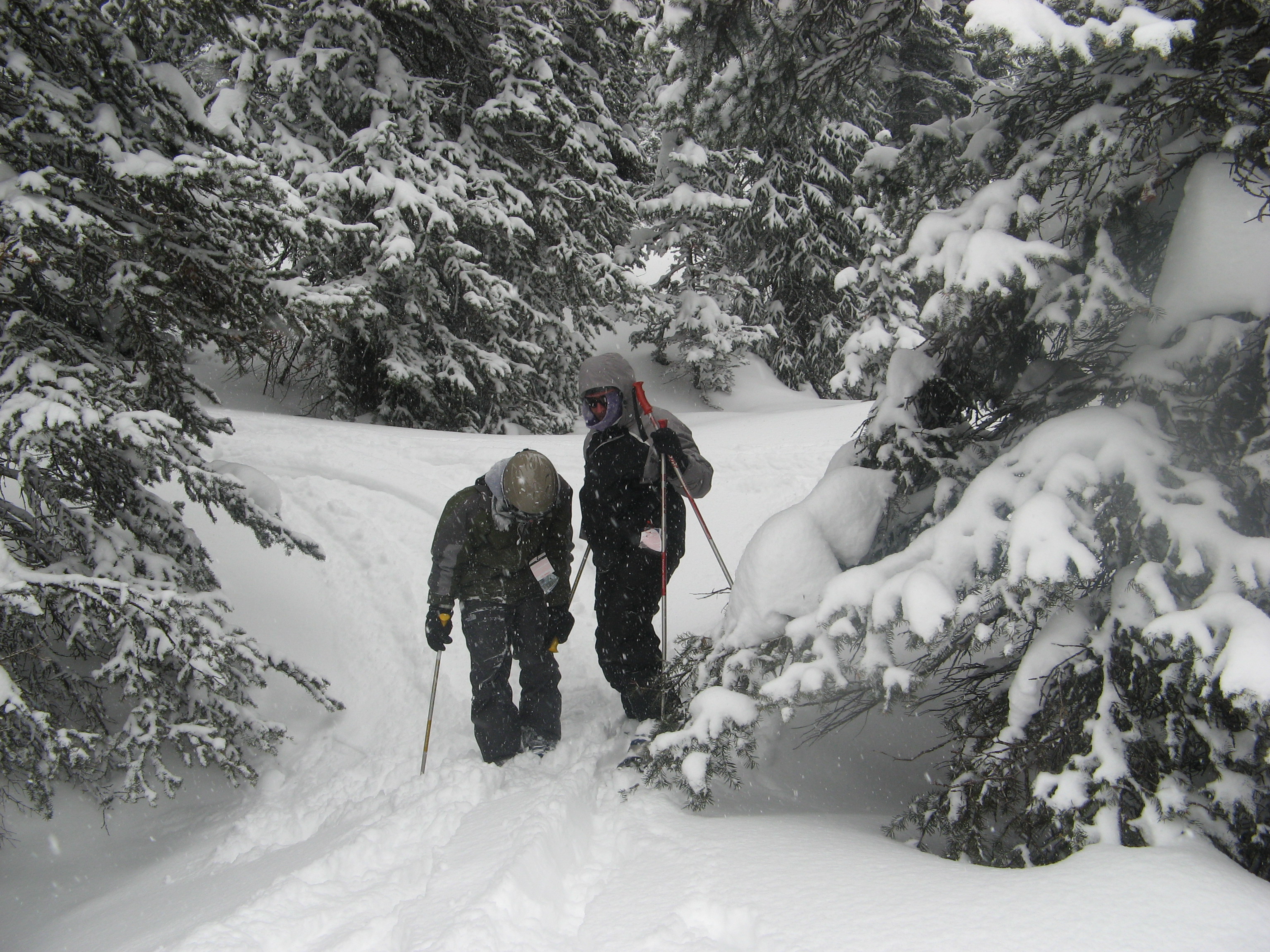 Grand Targhee