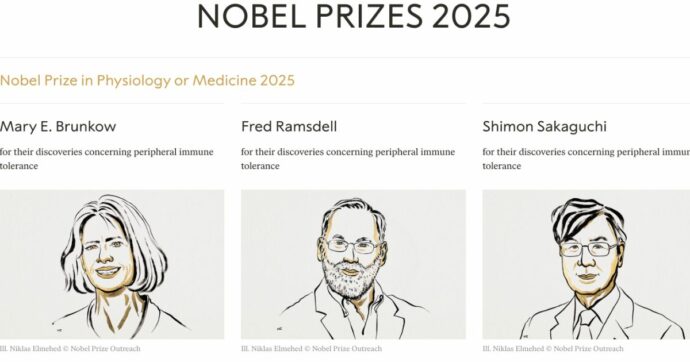 Il Nobel per la Medicina 2025 premia i pionieri della tolleranza immunologica