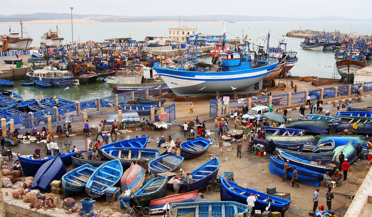 Excursion marrakech essaouira - Image 3