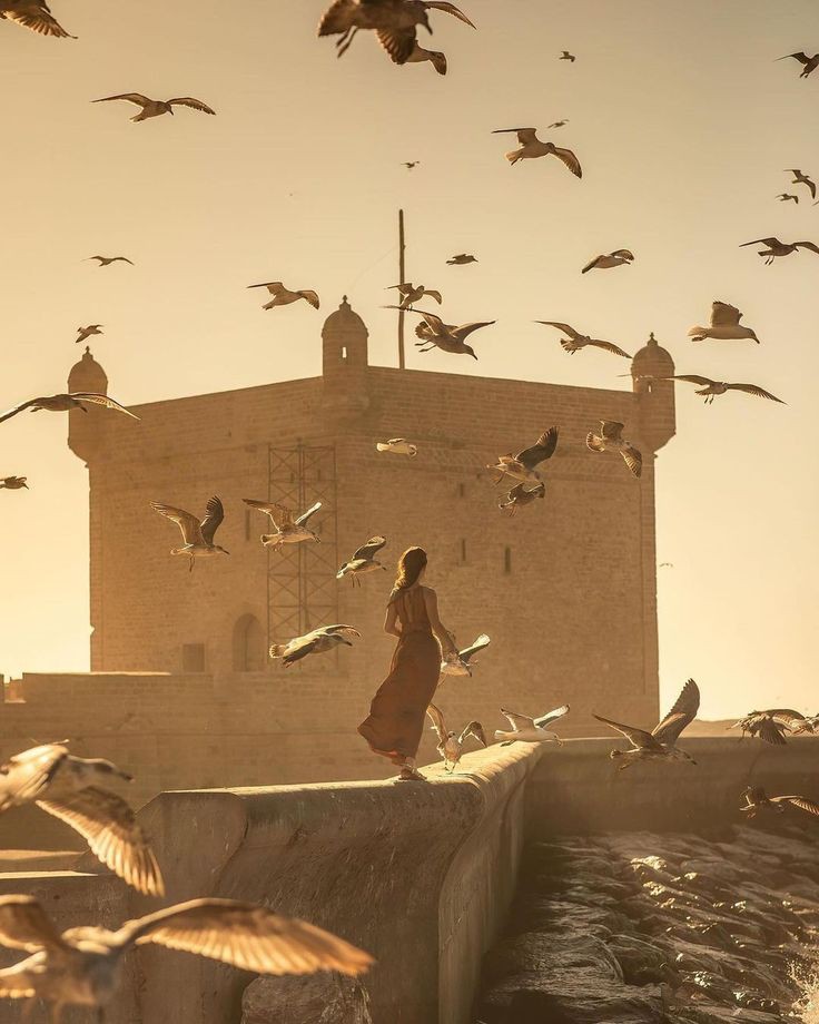 Excursion marrakech essaouira - Image 8