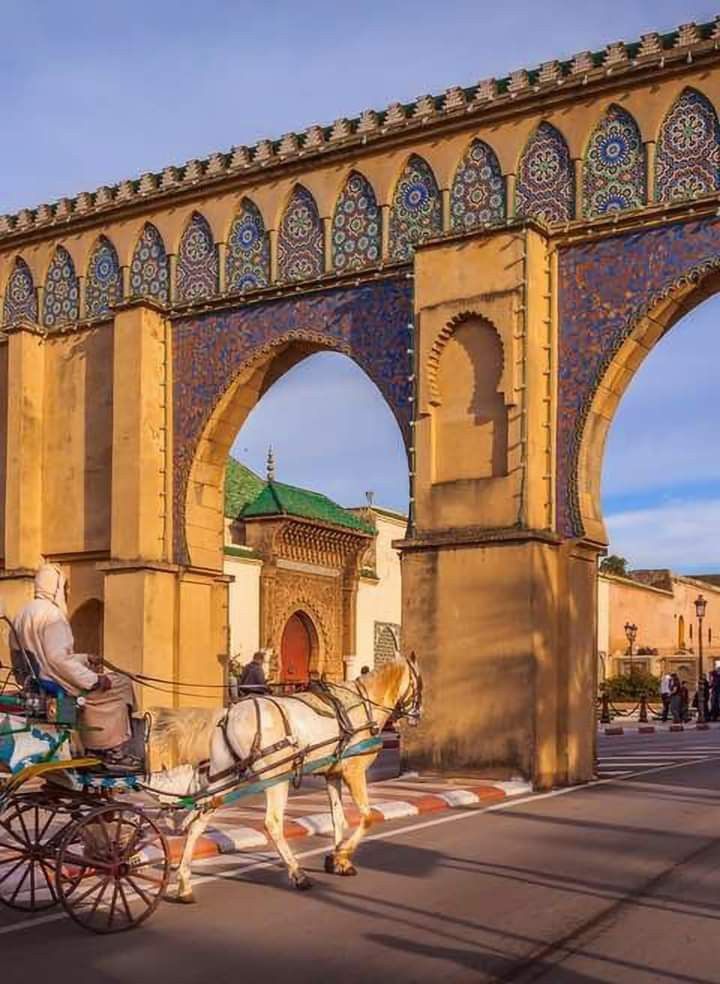 Marrakech-Ouarzazate-Dades-Desert Merzouga-Fes-Chefchaoun-Tanger - Image 4