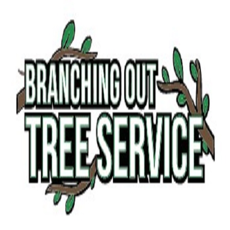 Tree Cutting & Trimming Smithtown