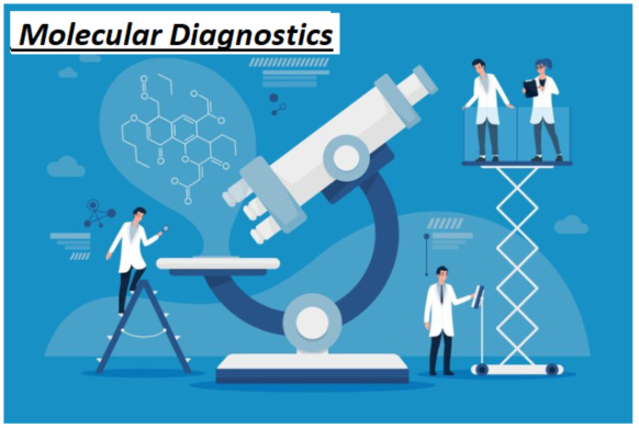 Meticulous Research® Forecasts Middle East & Africa Molecular Diagnostics Market to Exceed $1.16 Bil