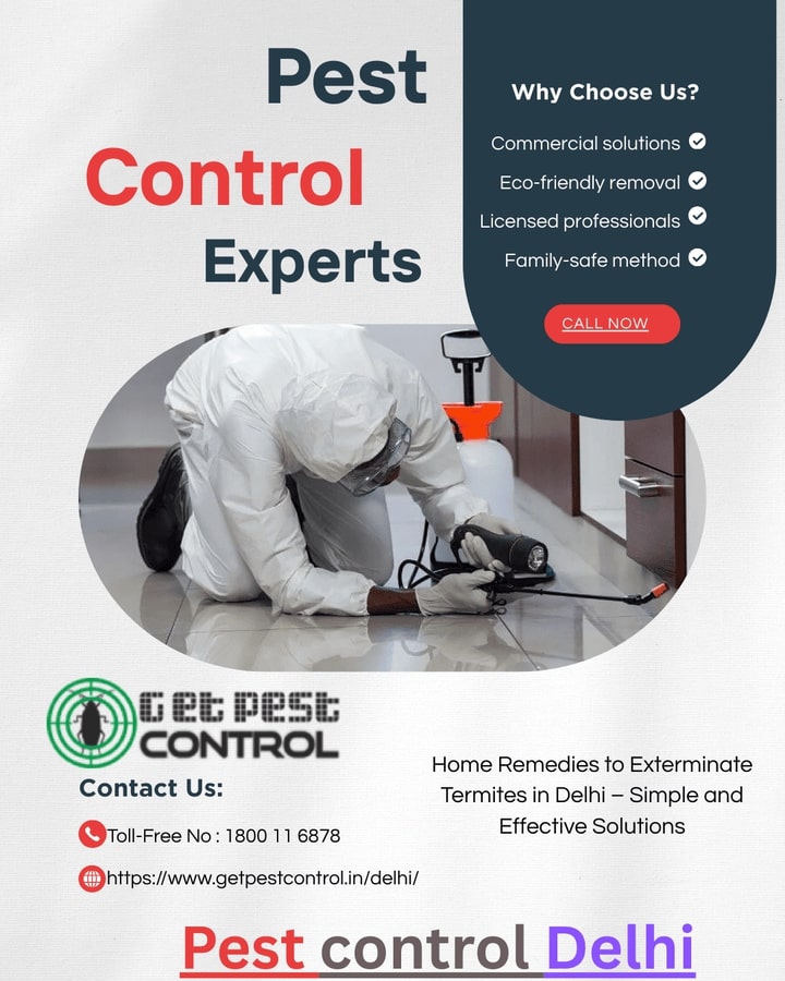 Home Remedies to Exterminate Termites in Delhi – Simple 
