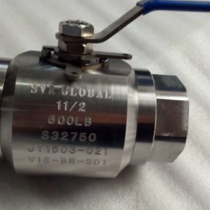 Super Duplex Ball Valve Manufacturer in India