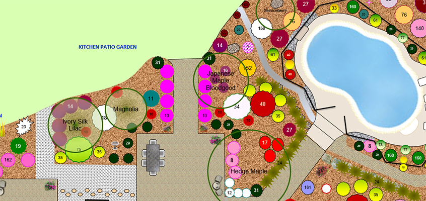 How to Design a Productive Vegetable Garden for Any Climate