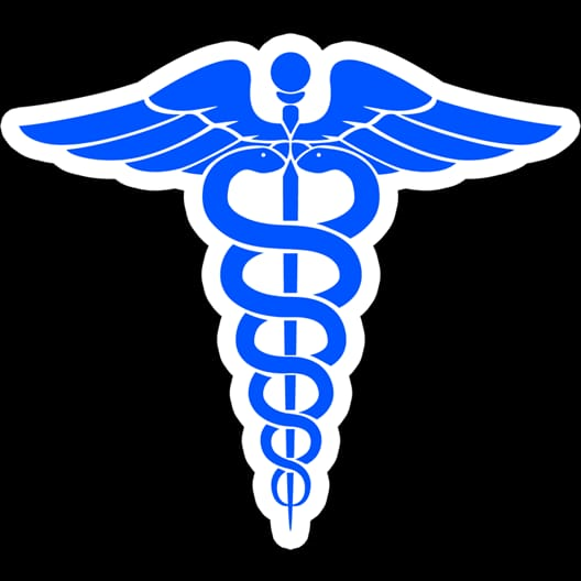 Dr. Raka Guleria Obstetrician-Gynecologist